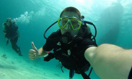 Top 10 Best Scuba Regulator Reviews 2024