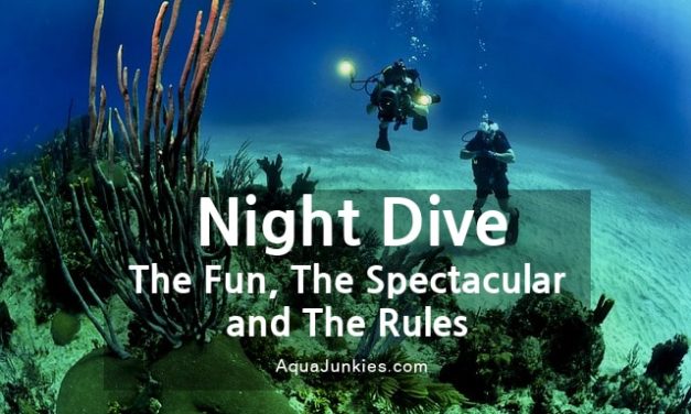 Night Diving – the Fun, the Spectacular and the Rules