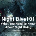 Night Dive 101: All things about Night Diving